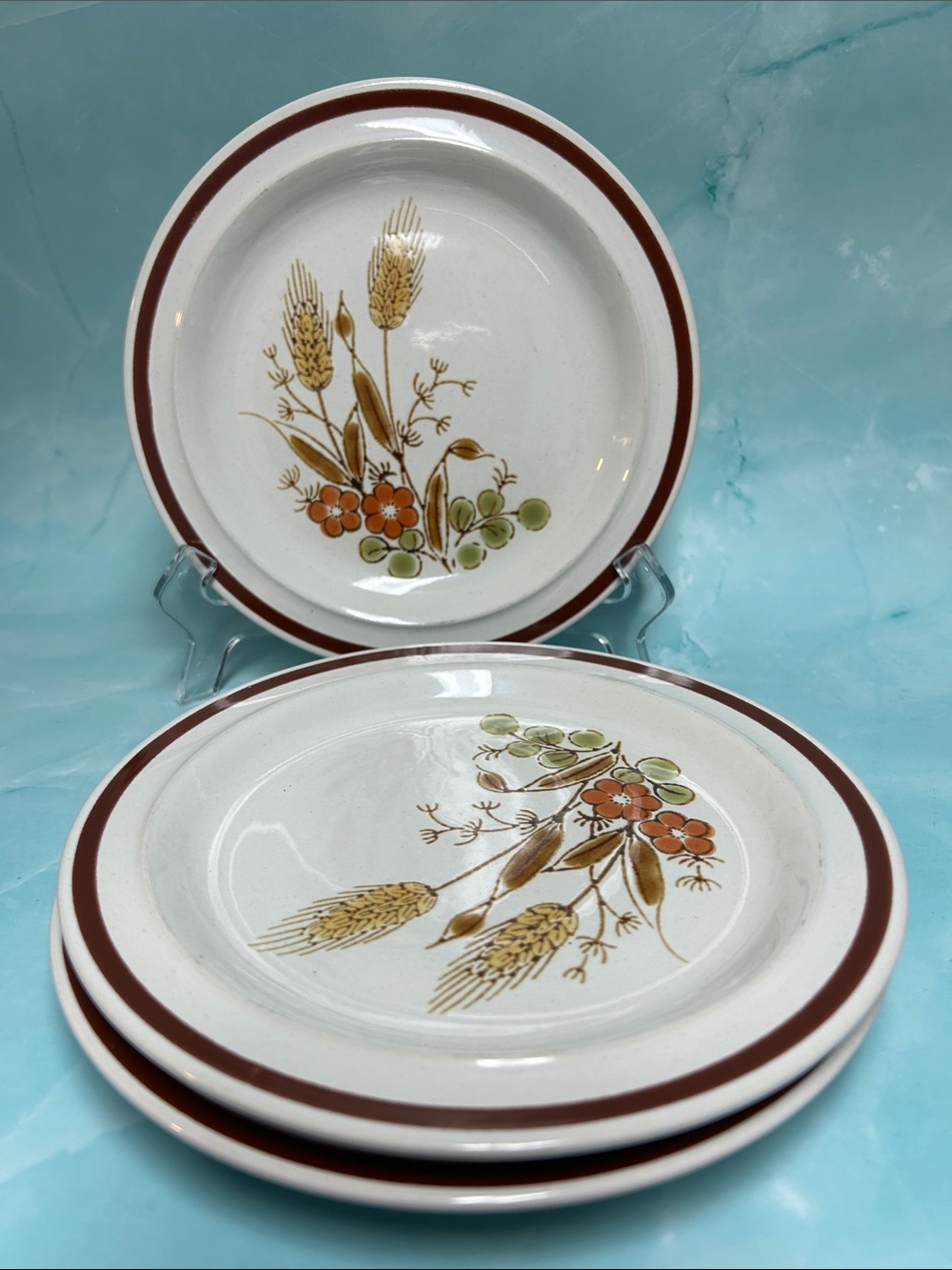 FESTIVAL Stoneware salad Plate Automn harvest  Wheat & Floral Motif - Brown Trim